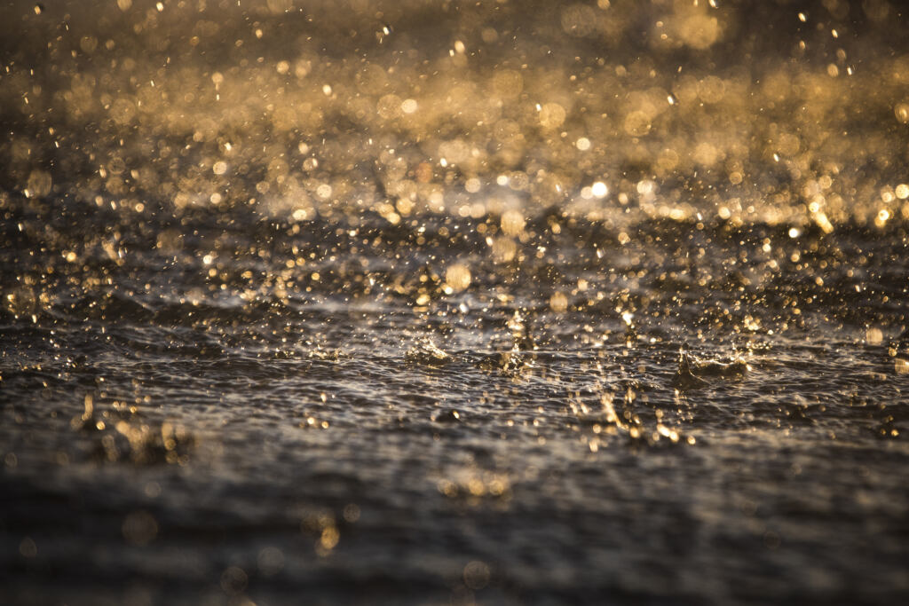 Rain droplets on surface of water in golden light