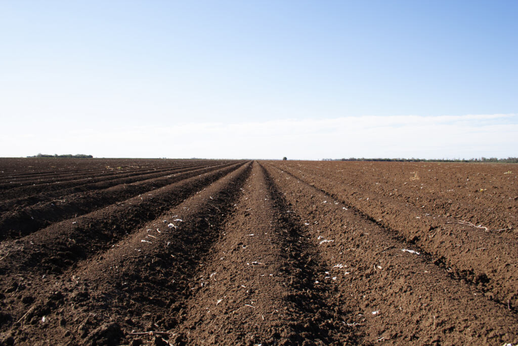 field prepared for new cotton planting - south west Queensland, Australia...big sky country