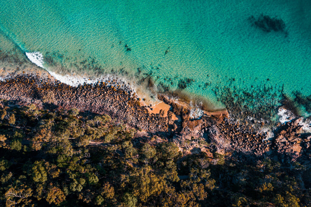 Aerial view showcasing the stunning natural beauty of the coast of Noosa, Australia