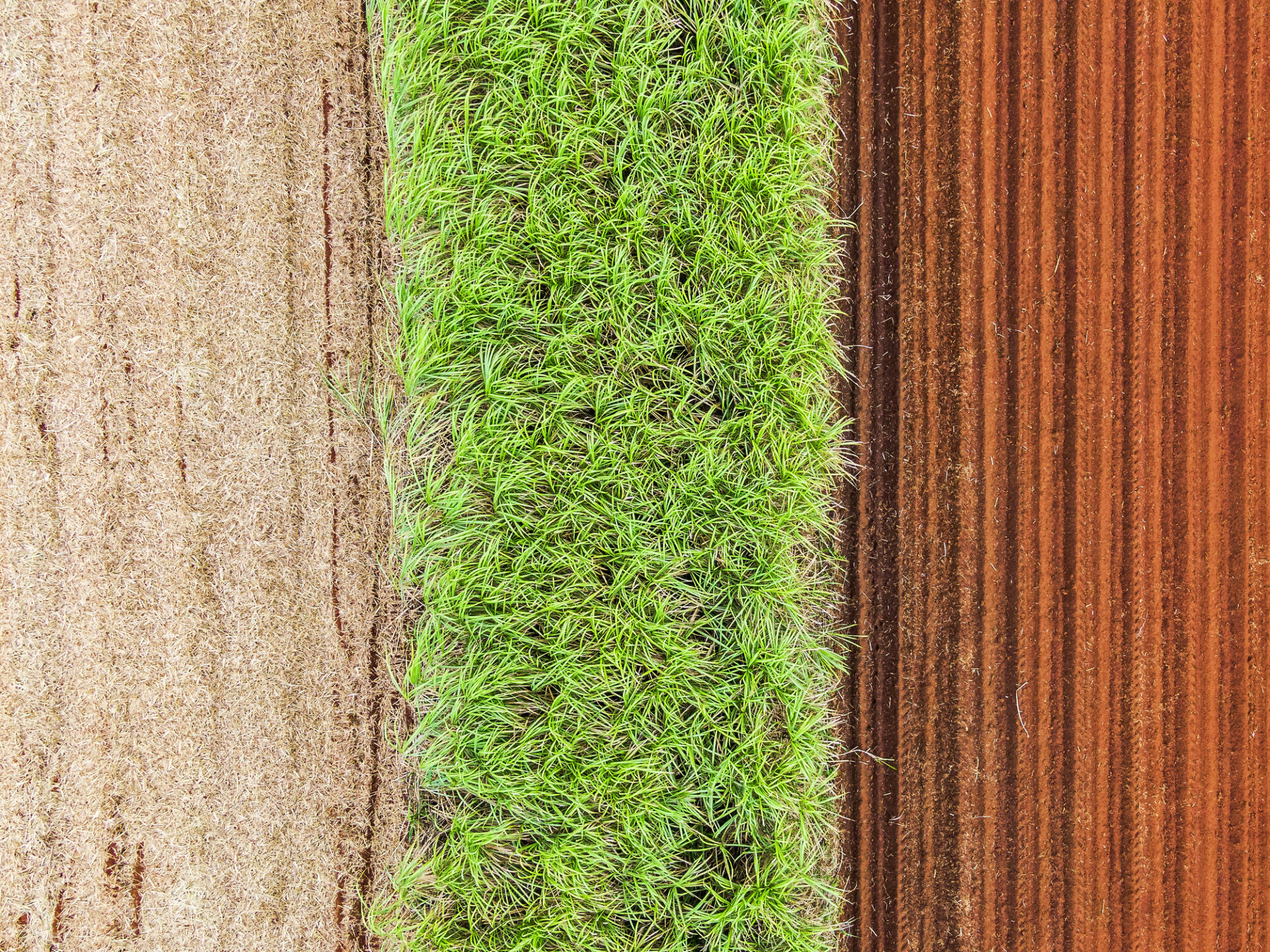 Detailed aerial view from directly above a sugar cane farm contrasting green uncut mature sugar cane with rich ploughed soil and unplowed cane harvest mulch in field