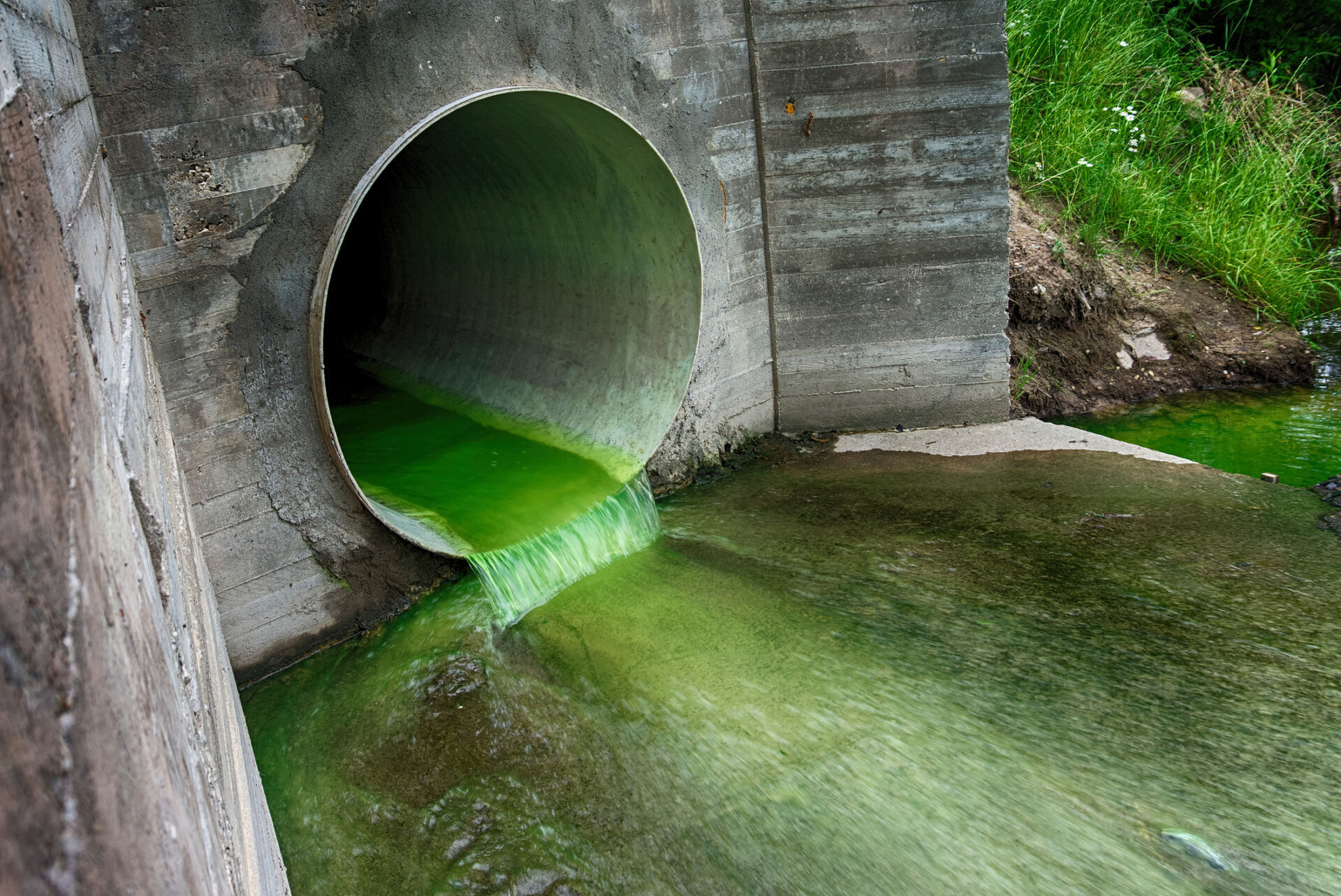 Bright green polluted effluent flowing through a drainage pipe exiting through a concrete wall in an environmental and ecological concept