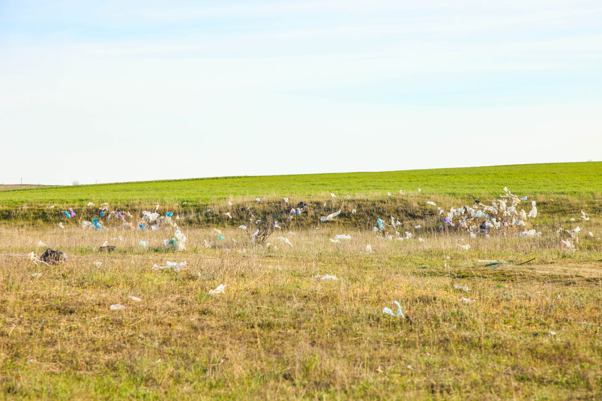 Garbage carried by the wind across the field. Ecological pollution.