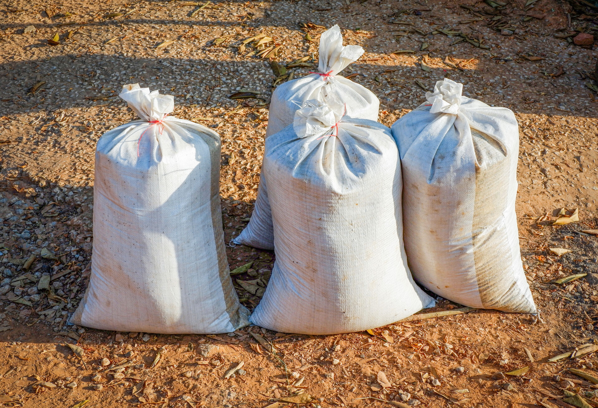 ice bag agriculture / fertilizer bag of product agriculture and rice from harvest farm field on ground for to the local market