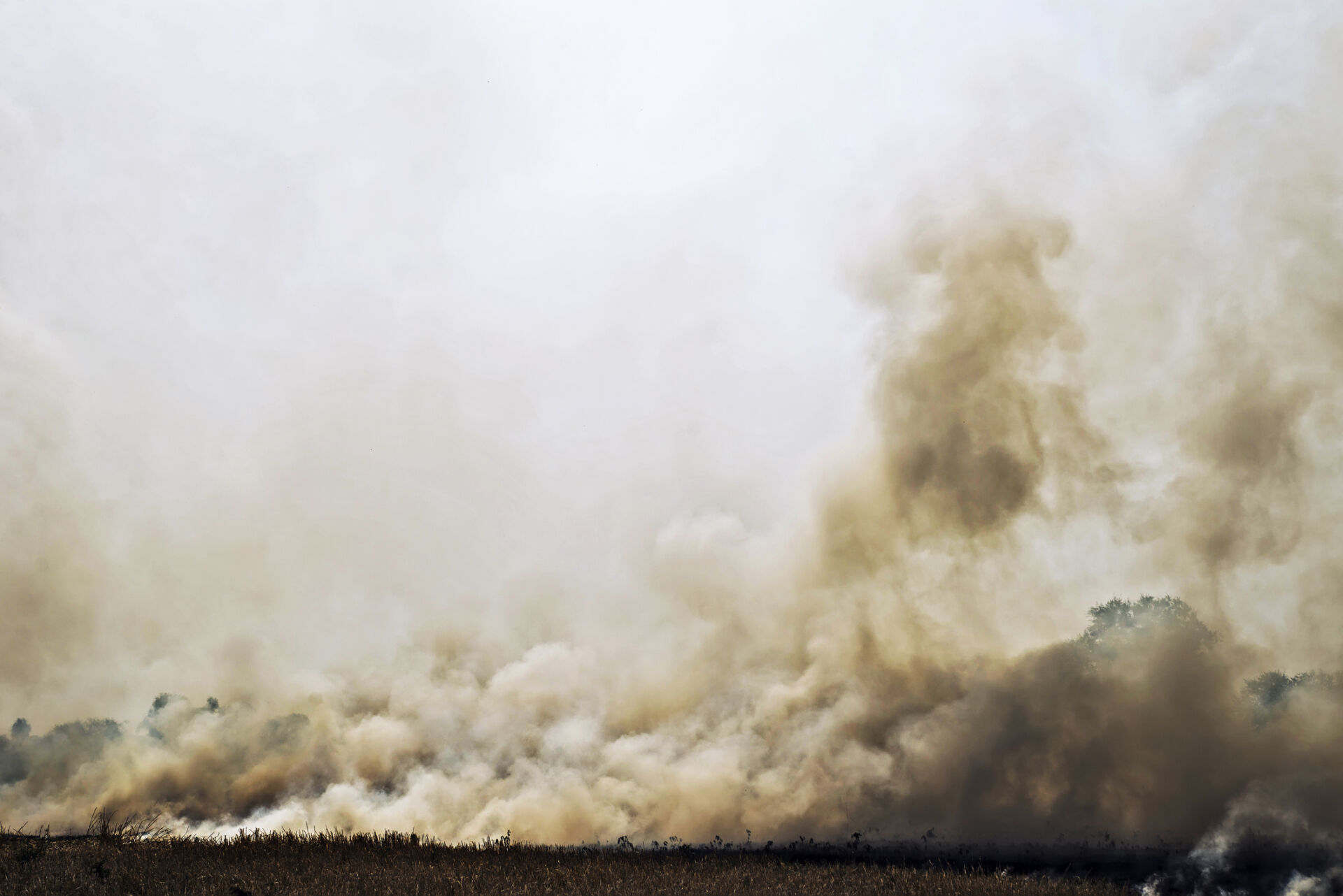 Smoke from a fire in a field